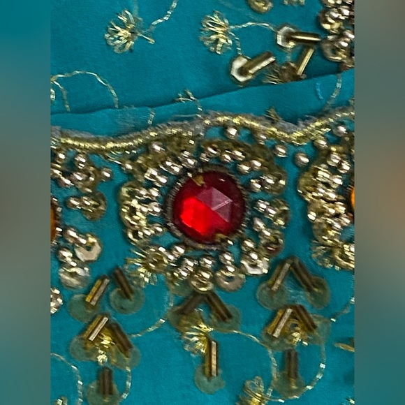 Winsome Looking Multi Stones Saree - Picture 3 of 8